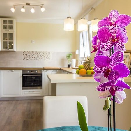 Апартаменти Apartman Maxim Пула Екстер'єр фото