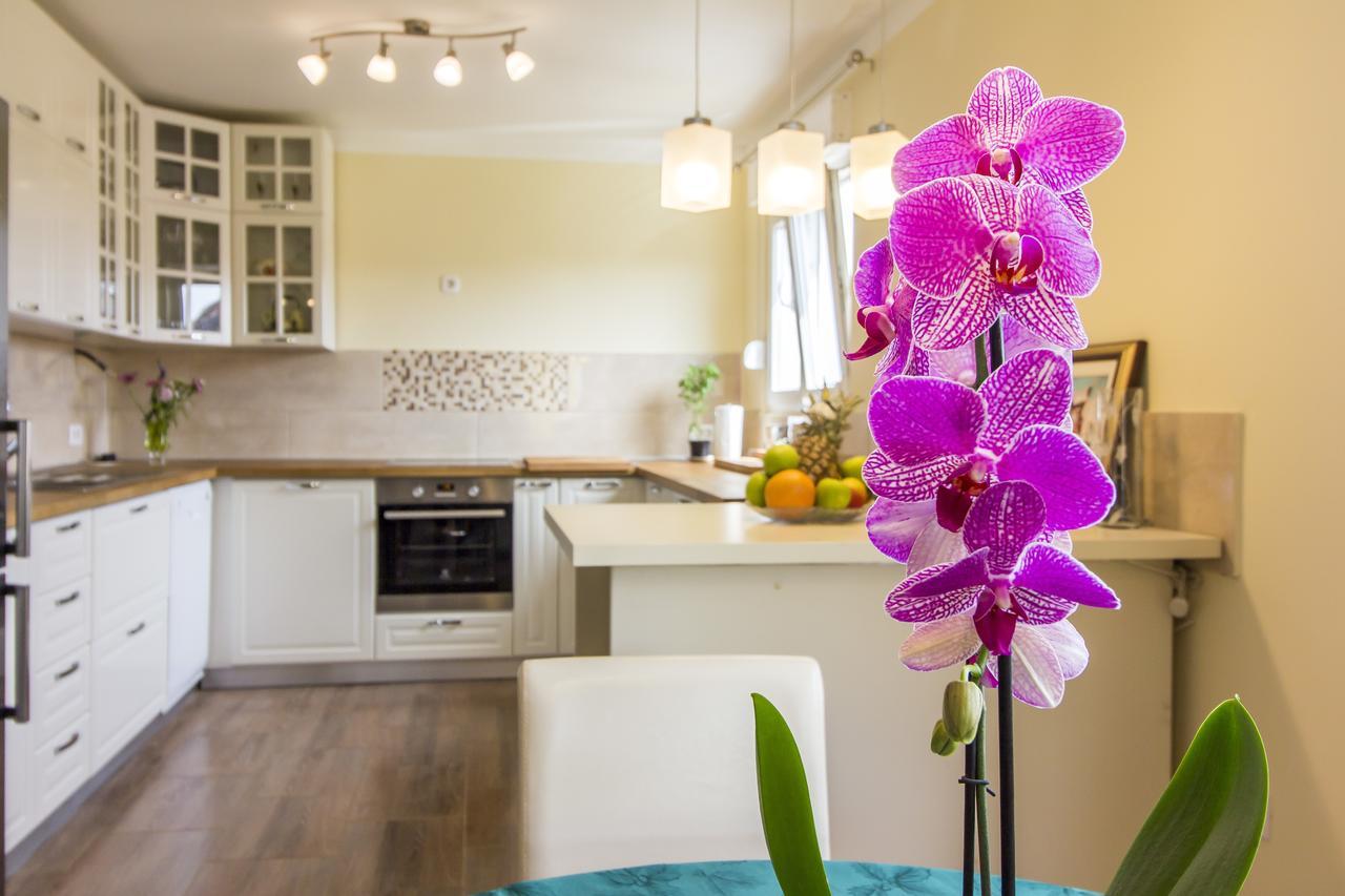 Апартаменти Apartman Maxim Пула Екстер'єр фото